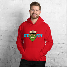Load image into Gallery viewer, "Bubble" Hoodie